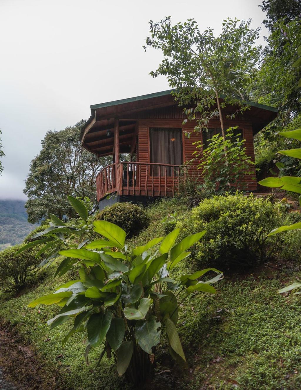 Copey Cedrela Eco-Lodge & Restaurante المظهر الخارجي الصورة