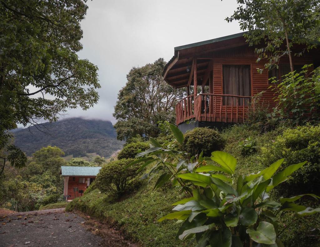 Copey Cedrela Eco-Lodge & Restaurante المظهر الخارجي الصورة